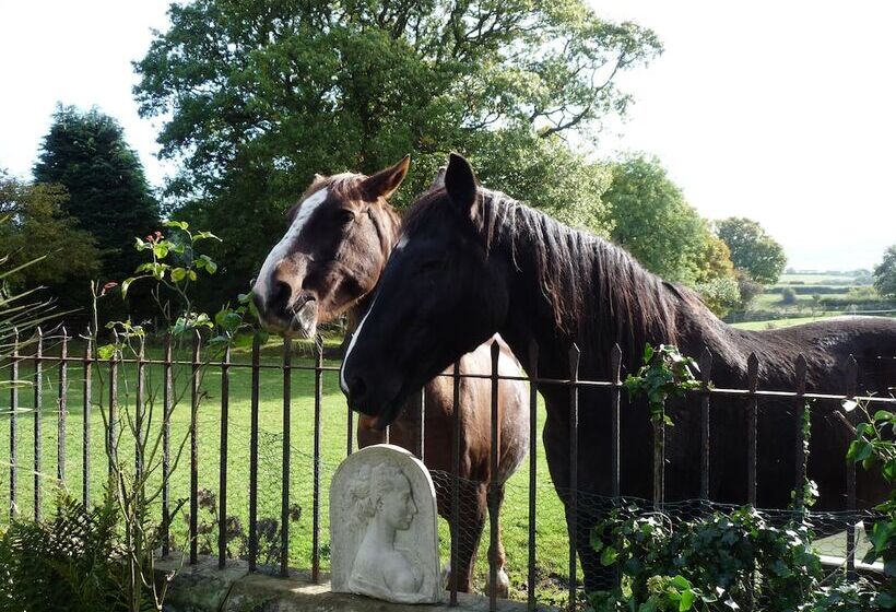 צימר Saxon Villa