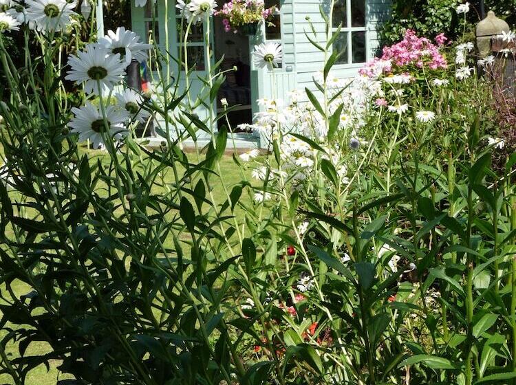 צימר Saxon Villa