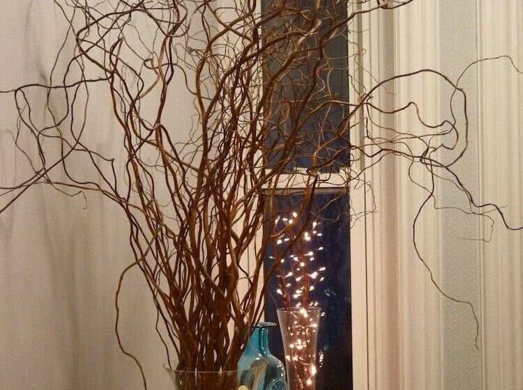 צימר Saxon Villa