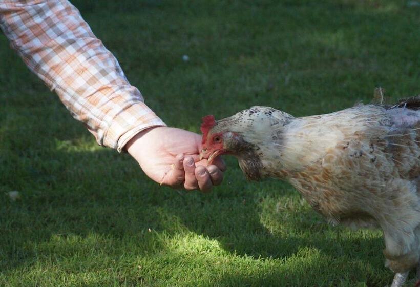 צימר Toadhall Rooms
