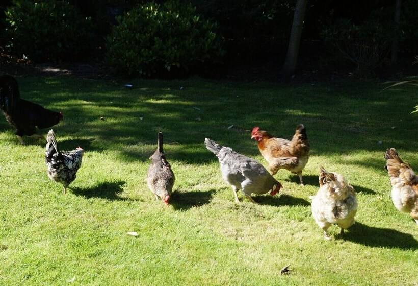 צימר Toadhall Rooms