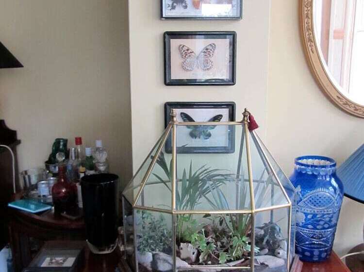 Bed and Breakfast Wartling Place Country House