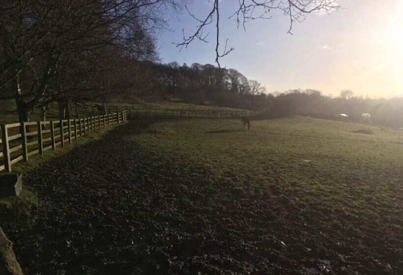 Grange Farm Bed & Breakfast