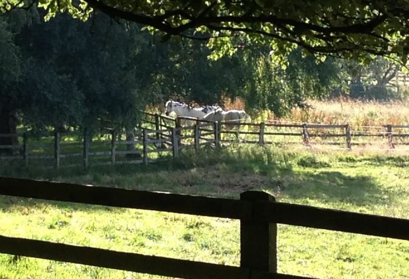 Grange Farm Bed & Breakfast
