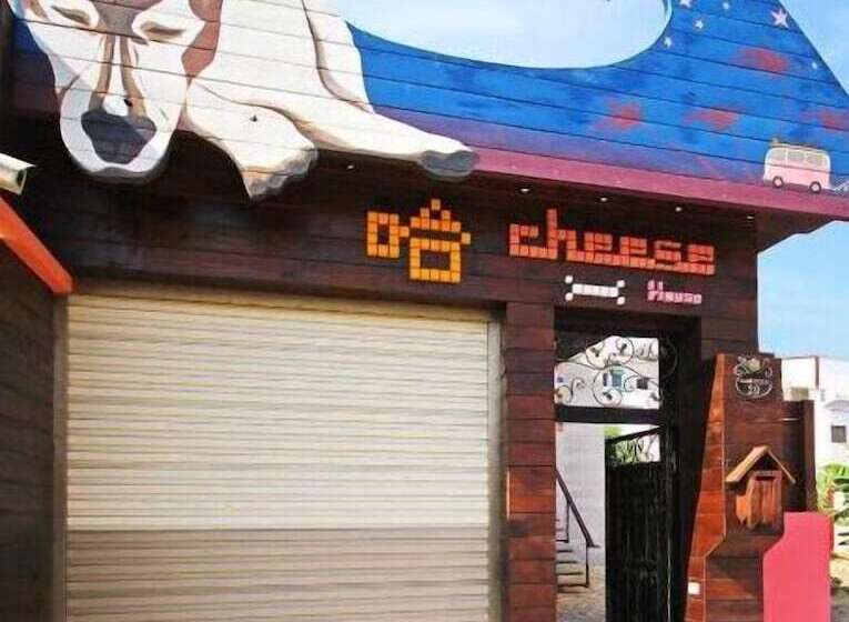 Ha Cheese B&b