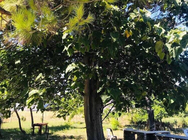 בית מלון כפרי Boss Ii