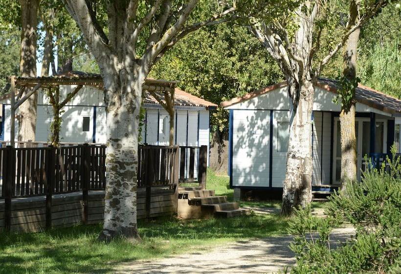 هتل Camping La Dune