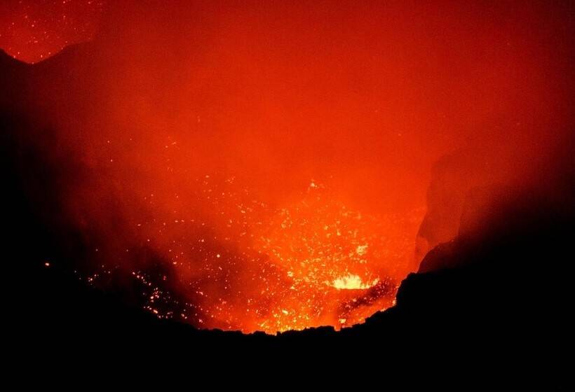 هتل Castle Tree House