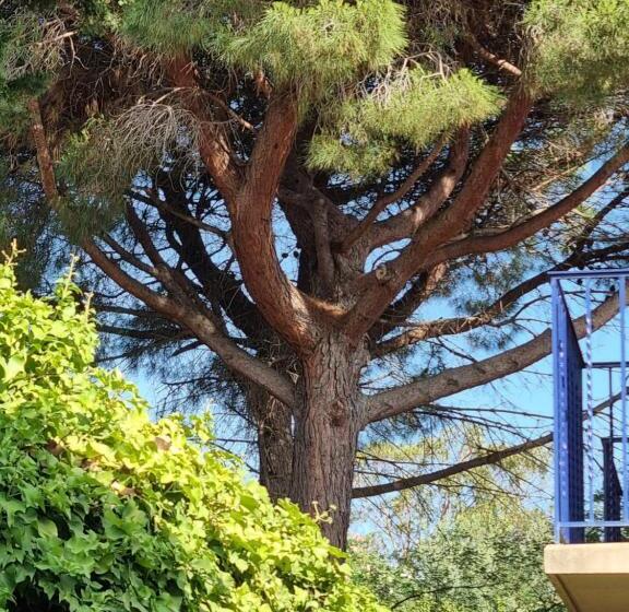 酒店 Hôtel Ambeille