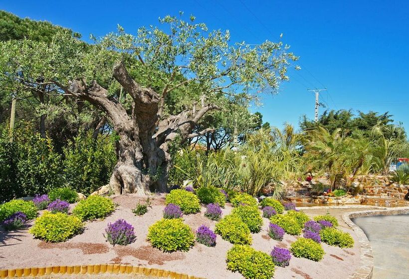 酒店 La Toison D Or Resort & Spa