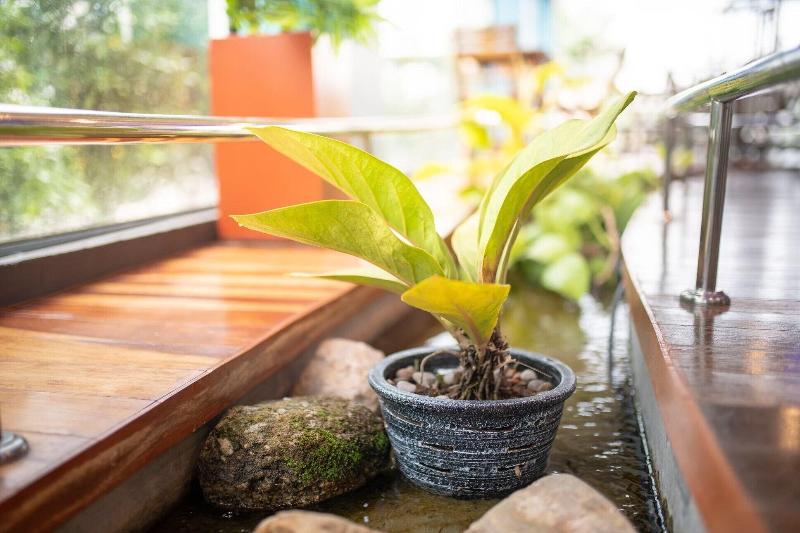 בית מלון כפרי Marlin