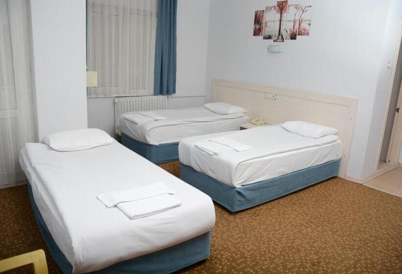 فندق Oreko Express