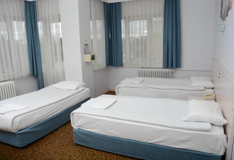 فندق Oreko Express