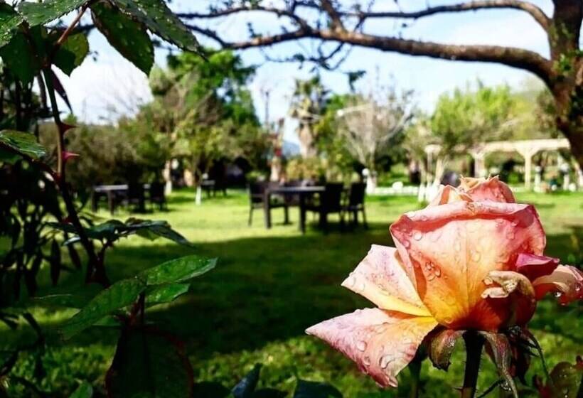 هتل Otantik Tas Ev