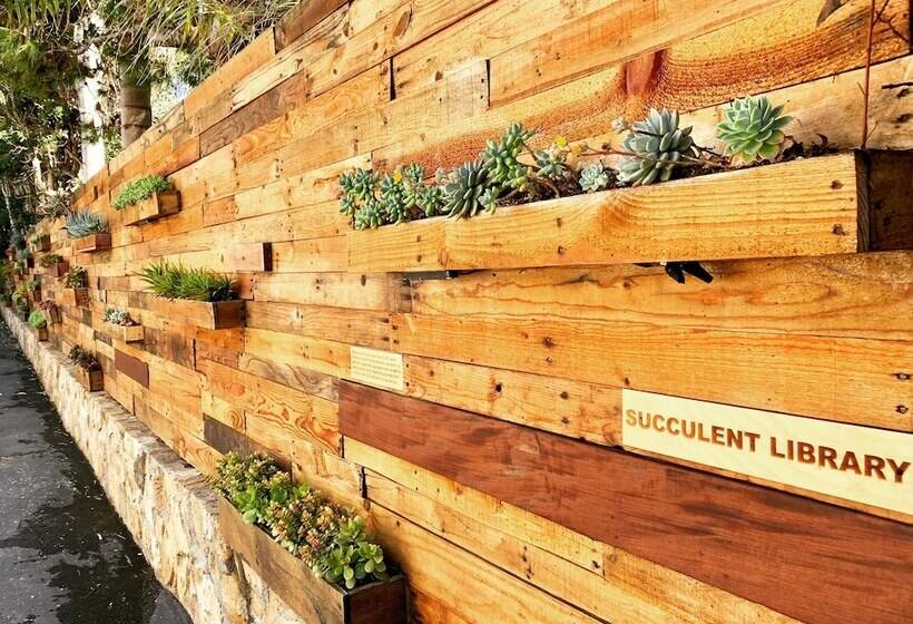 Inn At Moonlight Beach