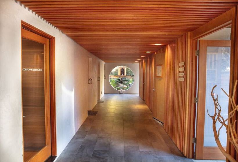 Inn At Moonlight Beach