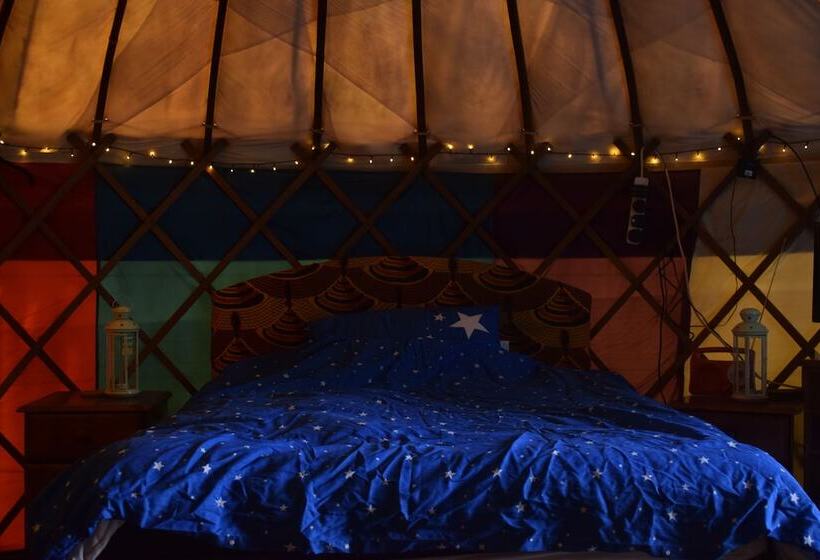 Marthrown Of Mabie   Hostel