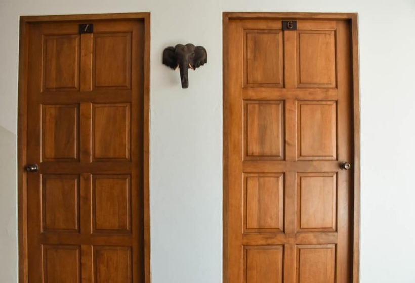 بنسيون Baan Rosa