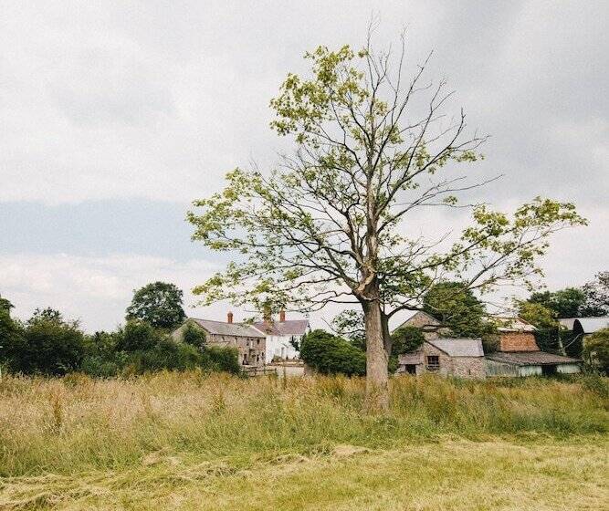 ペンション Broncoed Uchaf Country Guest House