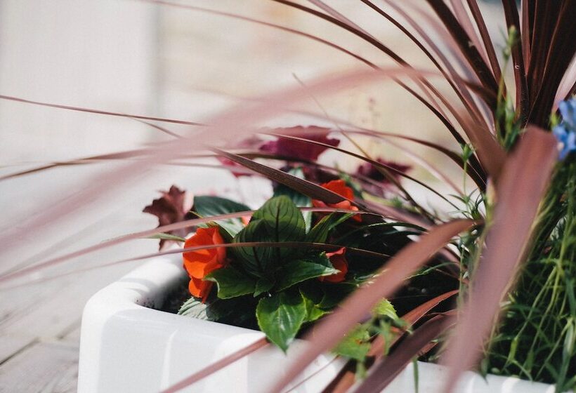 ペンション Broncoed Uchaf Country Guest House