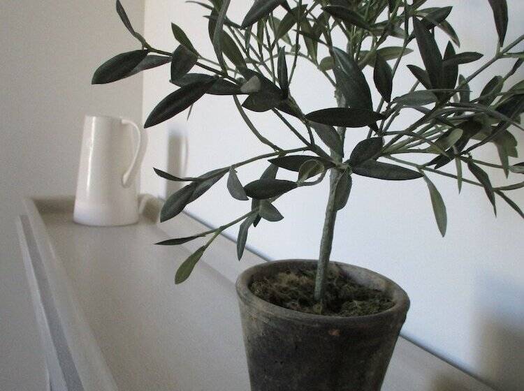 פנסיון Falmouth Bay