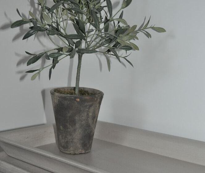 פנסיון Falmouth Bay