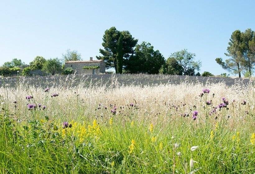 פנסיון La Bastide De Voulonne