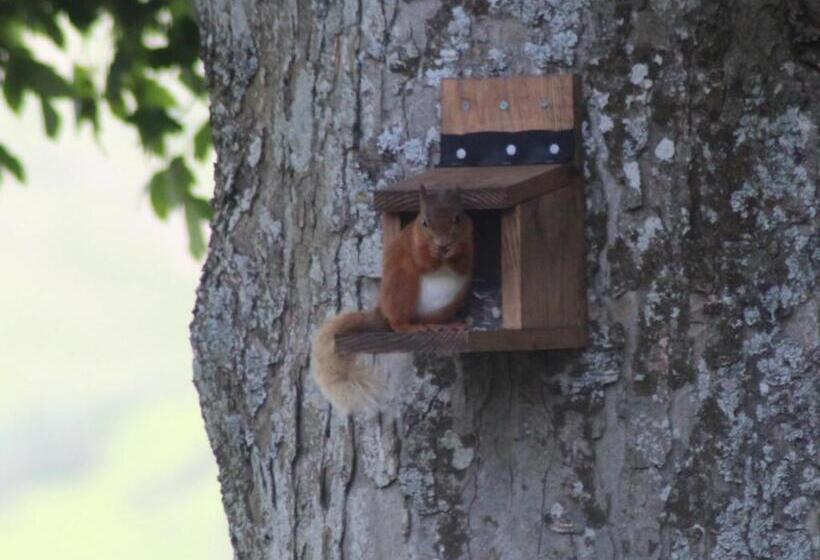 Пансион Lane Head Farm Country Guest House