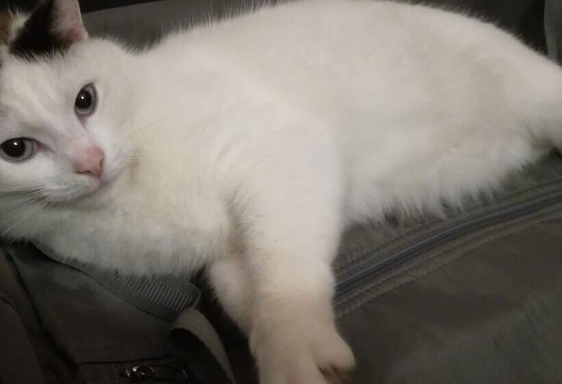 Пансион Le Clos Des Oliviers