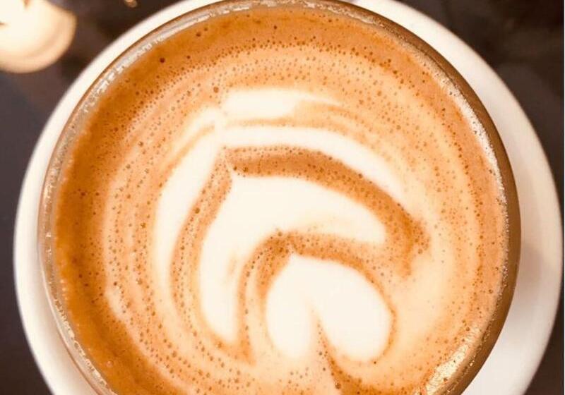 פנסיון Maison Du Collectionneur