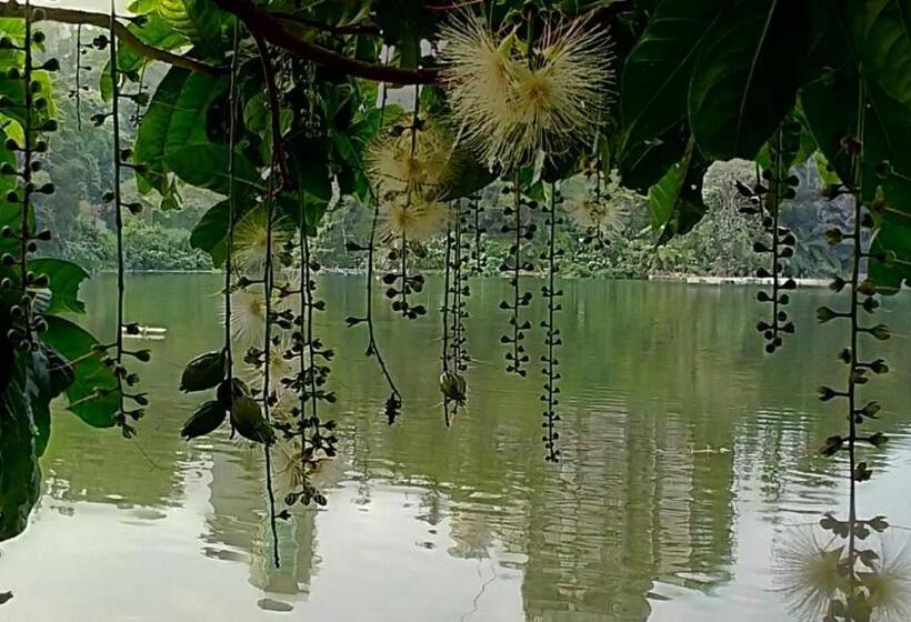 膳宿费 Sun Moon Lake Friday Inn Backpacking