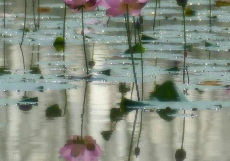 膳宿费 Sun Moon Lake Friday Inn Backpacking