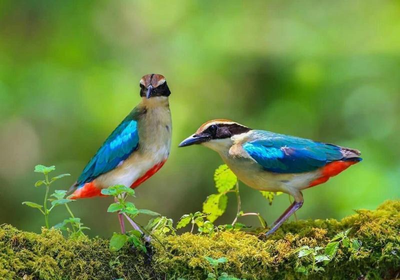 膳宿费 Sun Moon Lake Friday Inn Backpacking