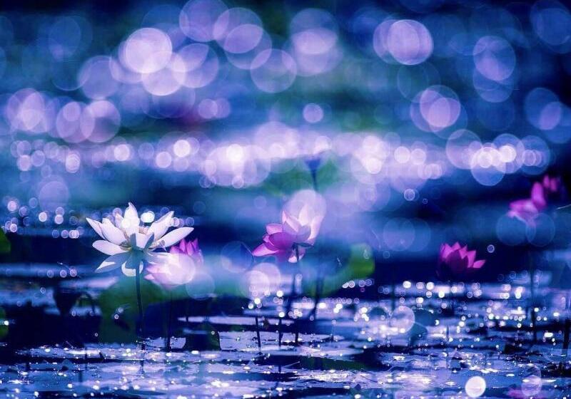 膳宿费 Sun Moon Lake Friday Inn Backpacking