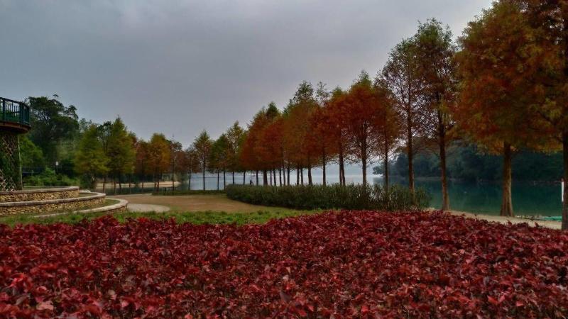 膳宿费 Sun Moon Lake Friday Inn Backpacking