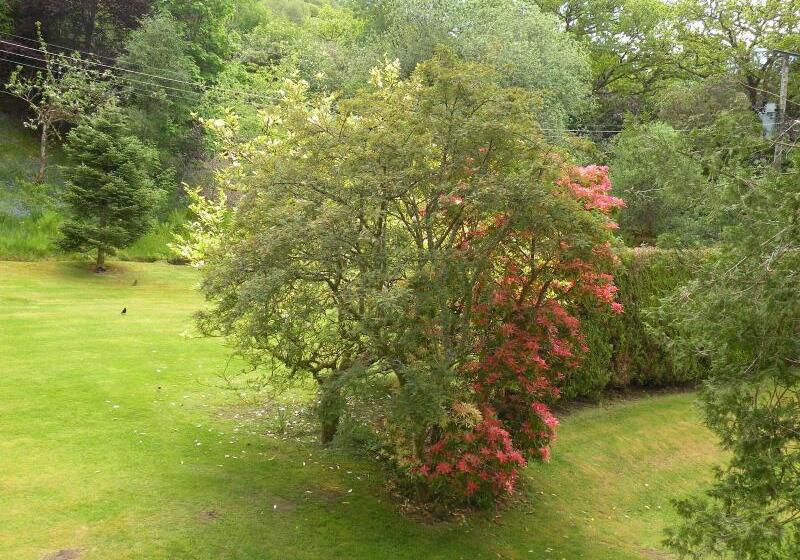 بنسيون Thistle House Guest House