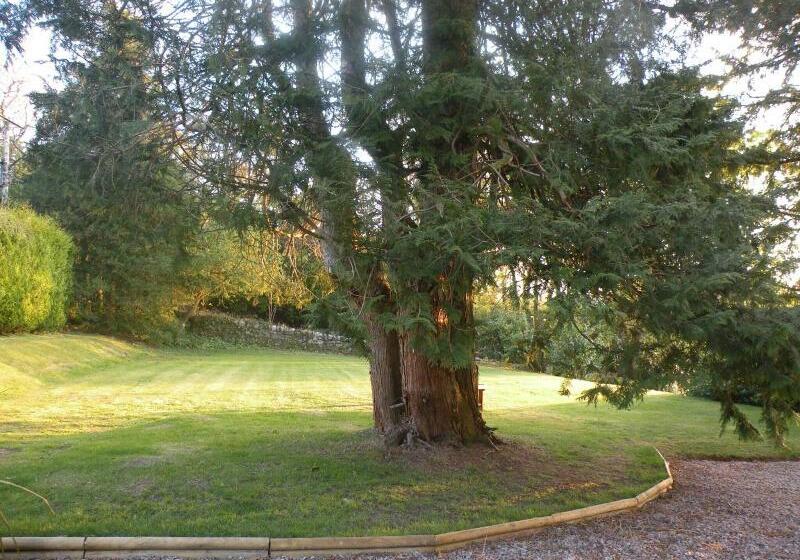 بنسيون Thistle House Guest House