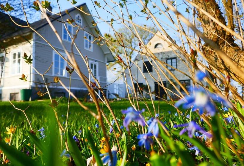 Three Pheasants Boutique B&b