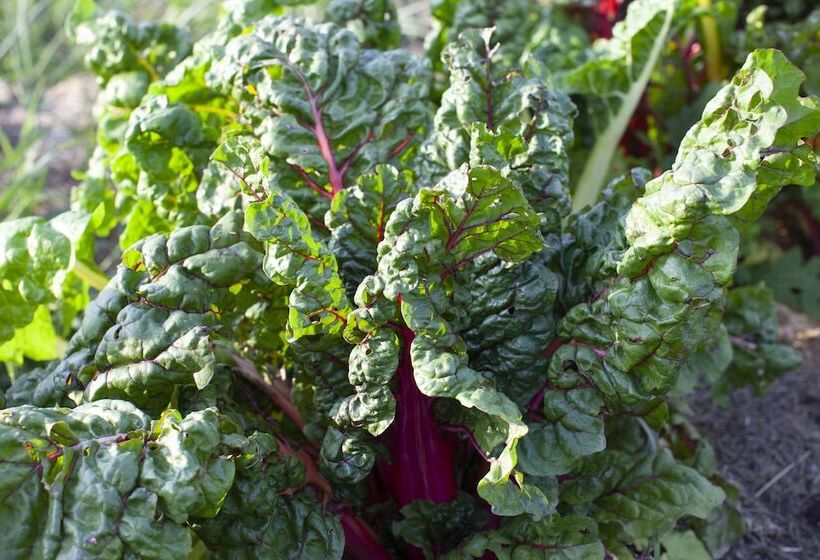 Three Pheasants Boutique B&b