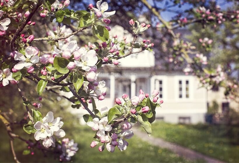 Three Pheasants Boutique B&b