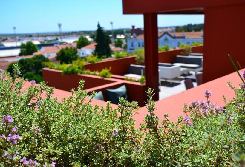 Hostel Vitoria Stone