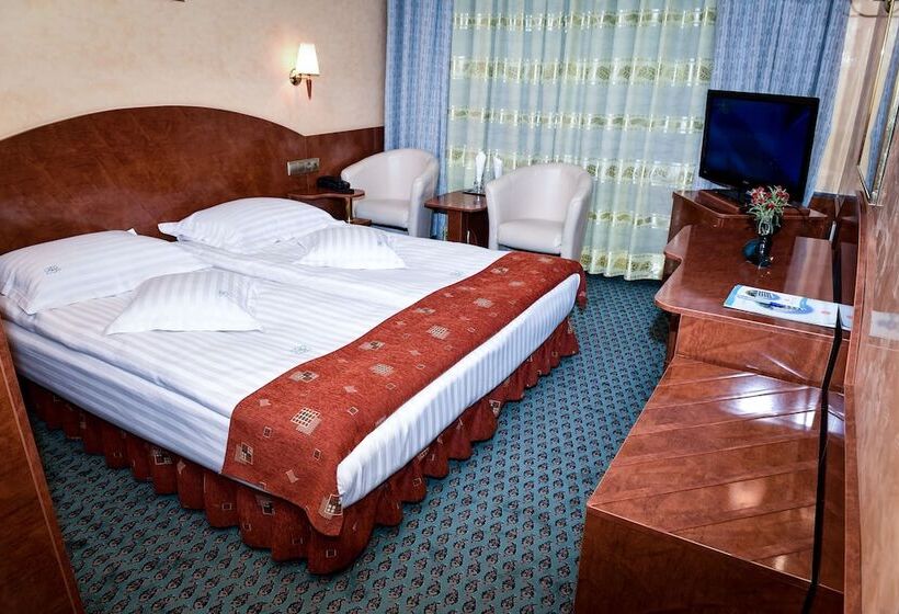 Carpati Hotel Baia Mare