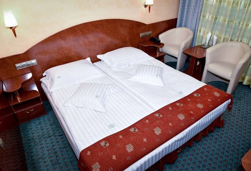 Carpati Hotel Baia Mare
