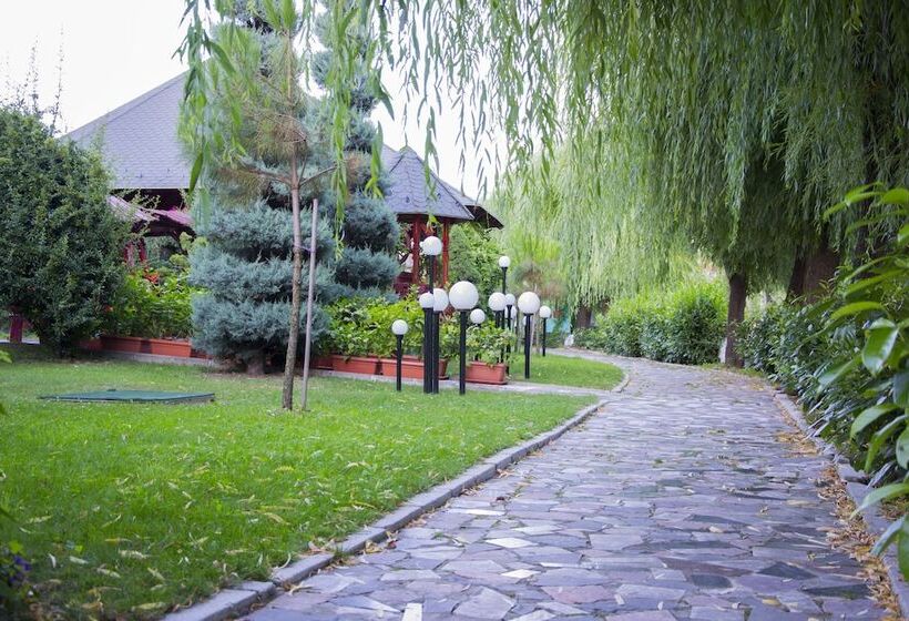 Carpati Hotel Baia Mare