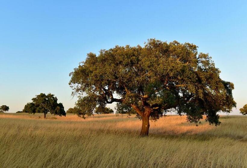 ホテル Pousada Convento De Beja