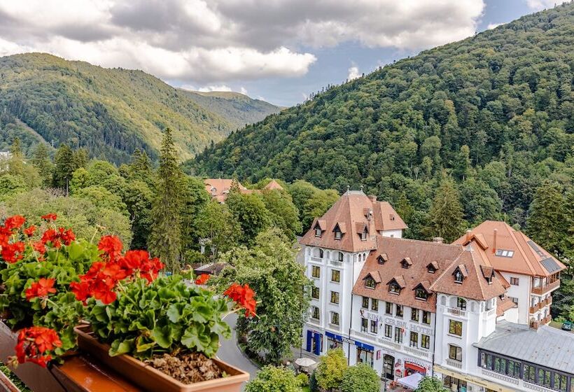 בית מלון כפרי Sinaia