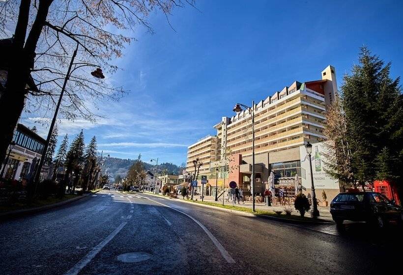 בית מלון כפרי Sinaia