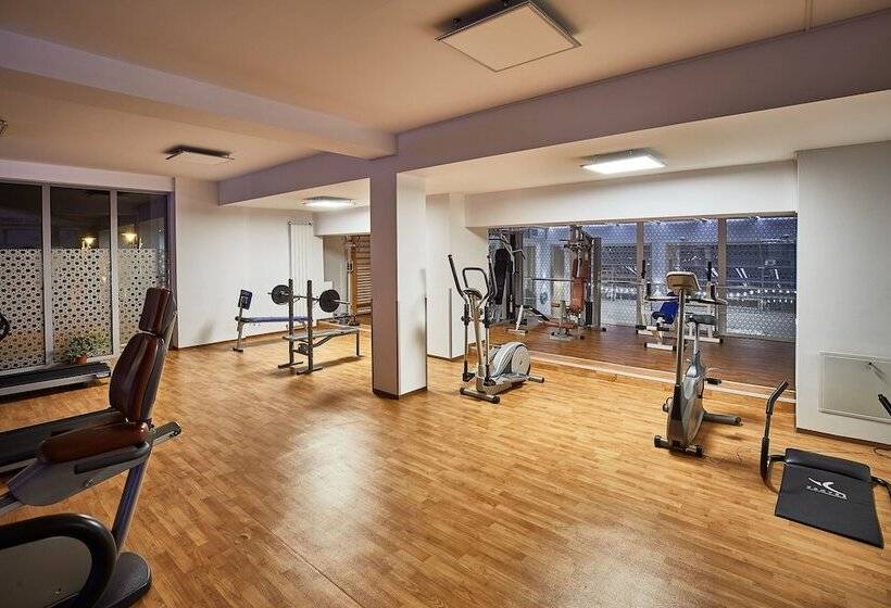 בית מלון כפרי Sinaia