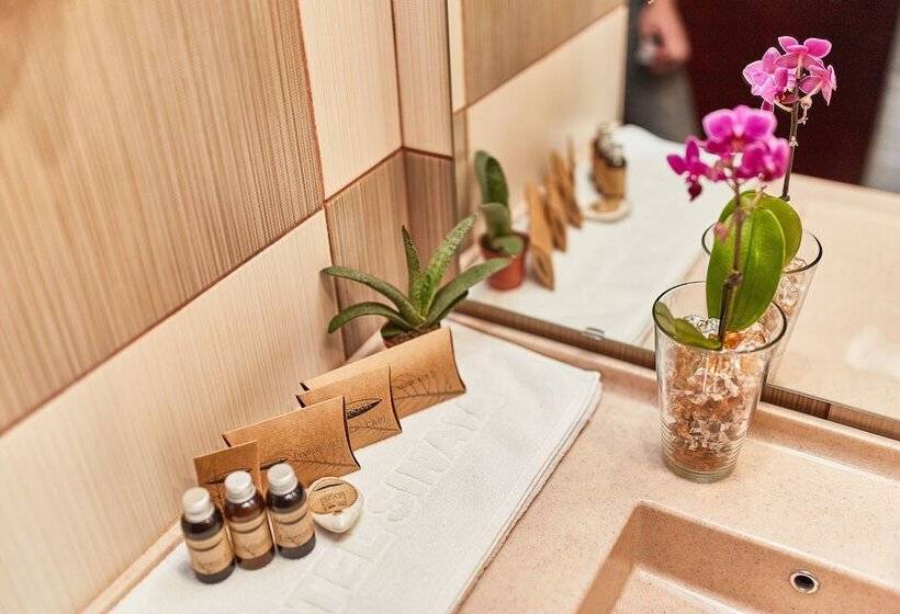 בית מלון כפרי Sinaia