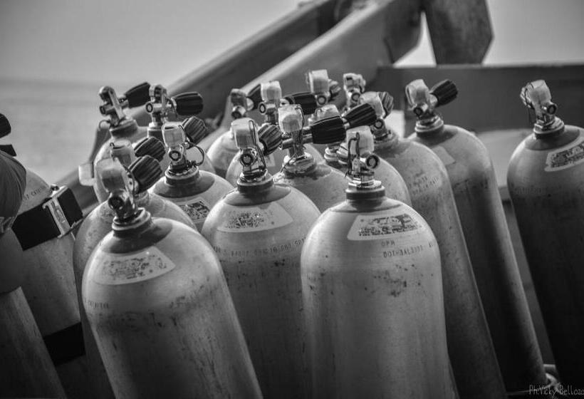 ユースホステル Dpm Koh Tao Diving Hotel & Bar